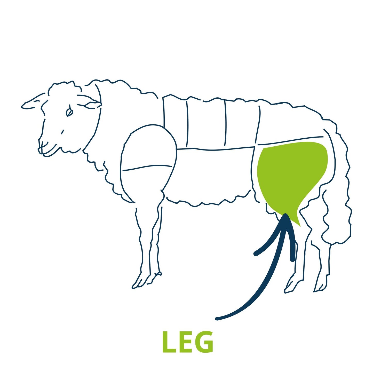 Lamb Leg Roll - 7 Day Dry Aged