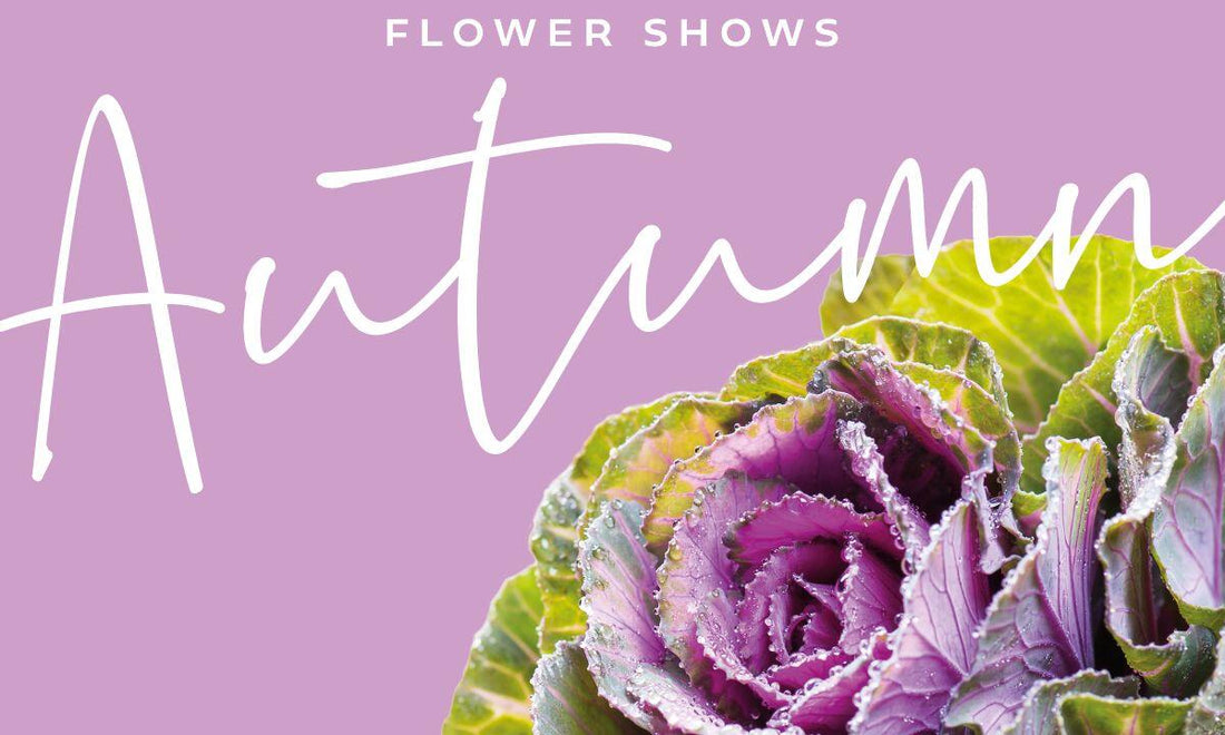 Join us for a feast among the flowers