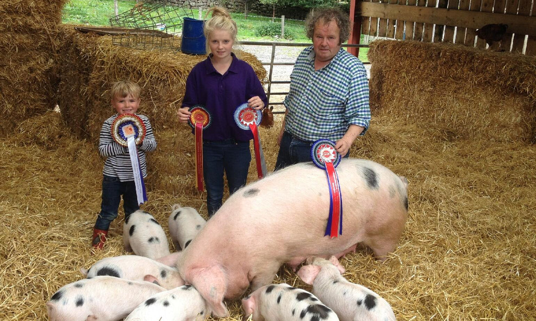 Our August Update from the Dales & Fells