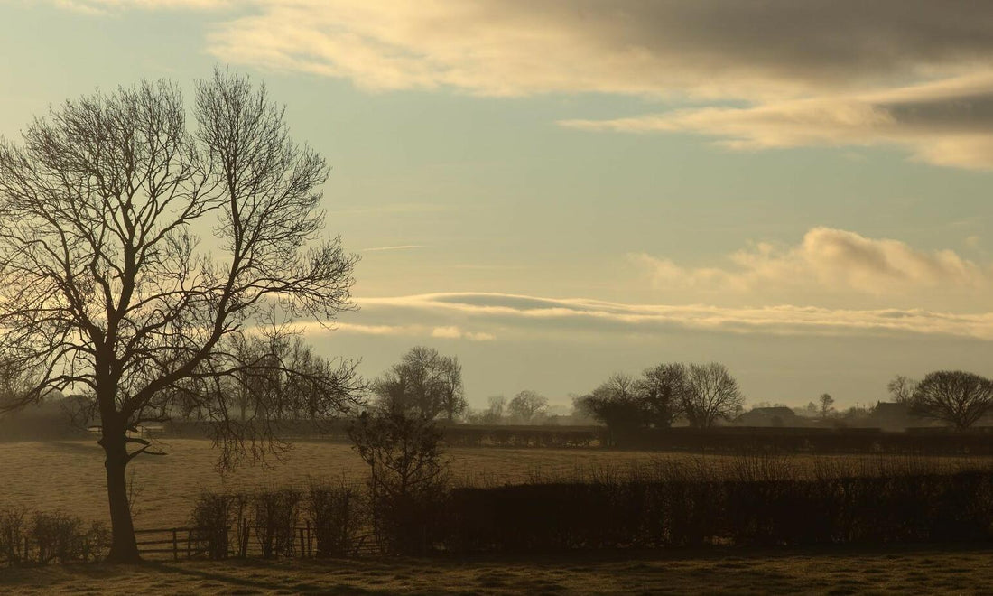 Top 10 tips for saving money on food and drink